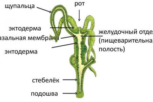 Ссылка на кракен 14ат