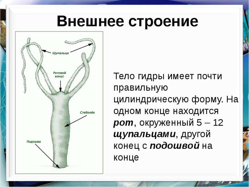 Маркетплейс кракен